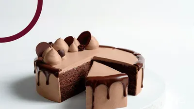 Cake de Chocolate Sustentável com Certificação Cacao-Trace