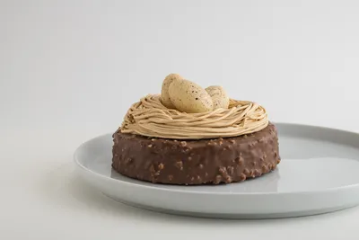 Breton de Pêra Rocha