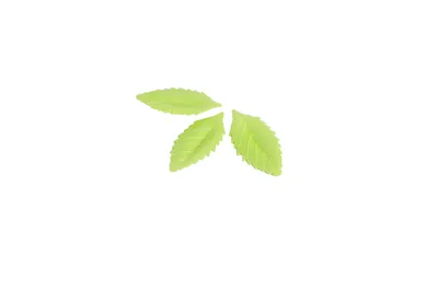 Folhas Verdes Obreia