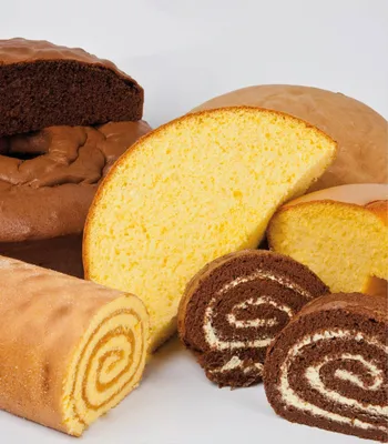 Tegral Biscuit 4x4 Chocolate