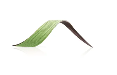 Chocolanté Curve Green