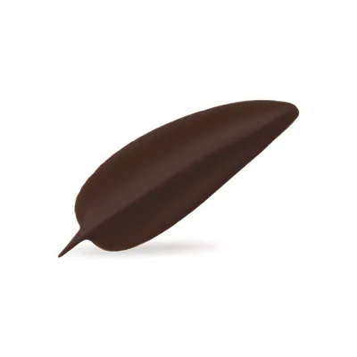 Chocolanté October Dark