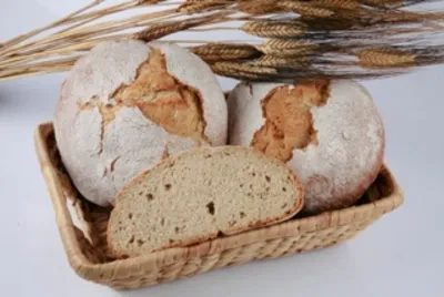 Tegral Broa de Milho Branco