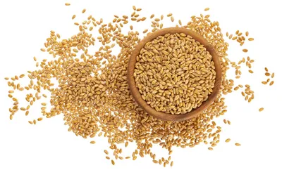 Puravita Grains Decor