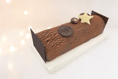 Tronco de Natal Sustentável