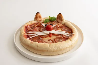Funny Pizza